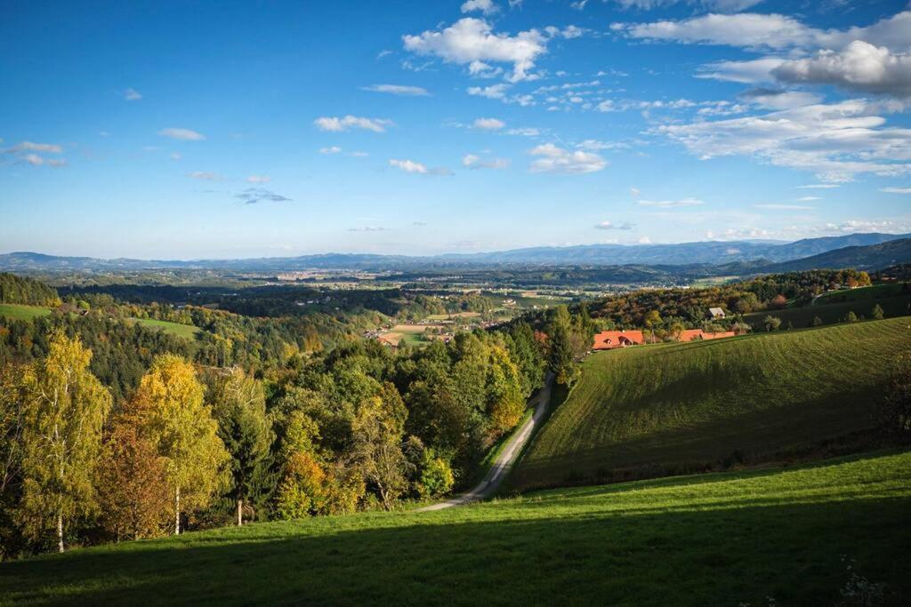 Chalet-Suedsteiermark - Traumhafte Aussicht, Infinity Pool, Privatsphaere, Klima Und De-Luxe Ausstattung Schwanberg Extérieur photo